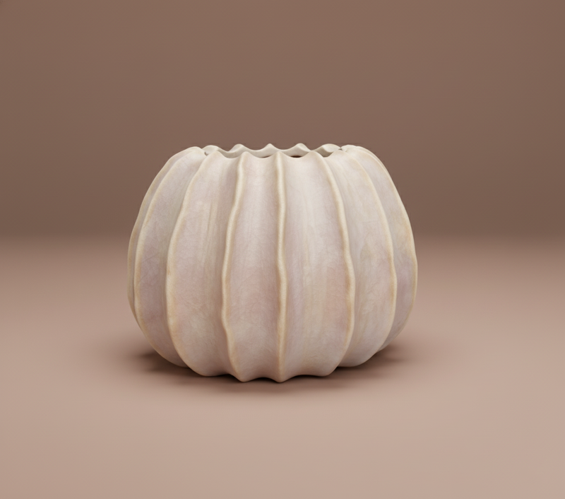 White Pumpkin