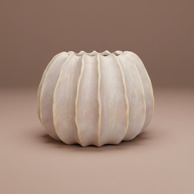 White Pumpkin